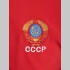 Мужской костюм, спорт СССР из хлопка красно синего цвета 797-1